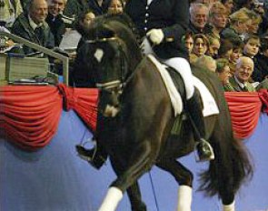 Bianca Kasselmann on Welt Hit VI (by Weltmeyer x Hill Hawk xx)