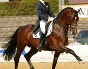 Edward Gal and Nourejev at the 2003 CDI Verden :: Photo © Dirk Caremans