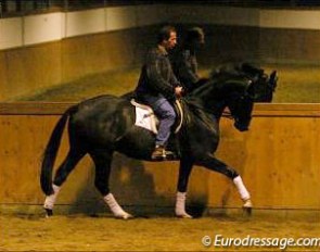 Alain Seheut test riding a young Wolkentanz II offspring