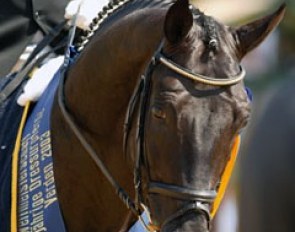 Furst Heinrich wins the 2003 World Young Horse Championships :: Photo © Dirk Caremans
