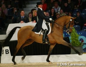 Judith Scholte and On Top at the 2004 CDI-W Amsterdam :: Photo © Dirk Caremans