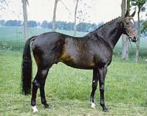 Prince Thatch xx