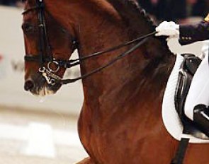 Idocus (by Equador x Zonneglans) :: Photo © Astrid Appels