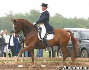 Hasse Hoffmann on Mistral Hojris :: Photo © Ridehesten.com