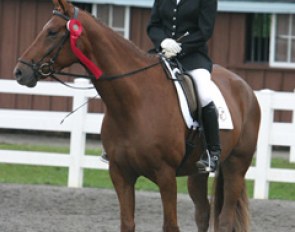 Angela Barilar and Rose Diamant at 2004 Dressage at Devon :: Photo © Astrid Appels for Phelpsphotos.com