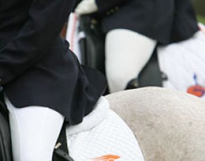 Dutch team rider