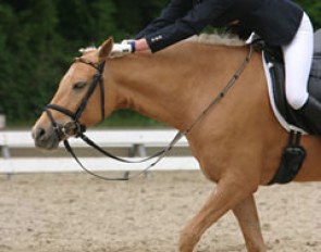Lydia Camp gives Dulcia a big pat