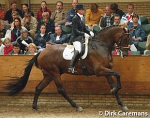 Leida Collins-Strijk on Stradivarius :: Photo © Dirk Caremans