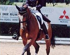 Alexandra Simons-De Ridder on Wellington