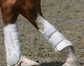 Hindlegs in the piaffe :: Photo © Astrid Appels
