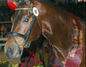 Southern Spirit (by Sir Charles x Lancer II)