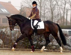 Delphine Meiresonne on Fiderhit :: Photo © Galop.be