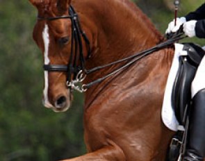 Quantum Tyme (by Quattro B x Argentinus) :: Photo © Astrid Appels for Phelpsphotos