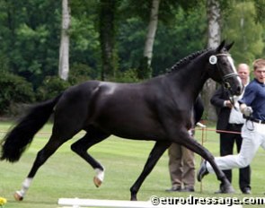 Crystel (by Dream of Diamond x Rubinstein)