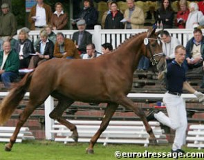 Fulana (by Royal Diamond x Don Gregory)