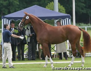 Gran Lacarina at the 2004 Oldenburg Elite Mare Show in Rastede