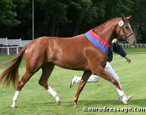 Love Story V, the 2004 Oldenburg Elite Mare Champion