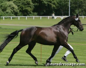 Ramina (by Raphael x Welt Hit II)