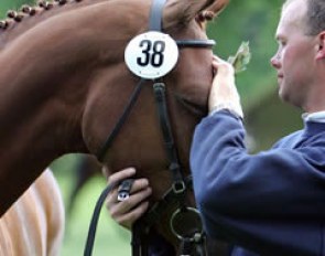 Love Story V appreciative of the cuddles she get from her handler Martin Determann