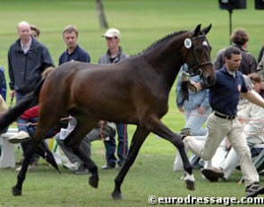 Clemens von Merveldt handling Liberty III (by Sandro Hit x Akzent II)