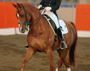Ann Serrao on Centaur