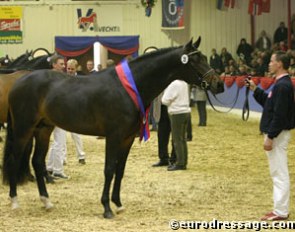 Rene Tebbel with Van the Man, the 2004 Oldenburg Licensing Champion