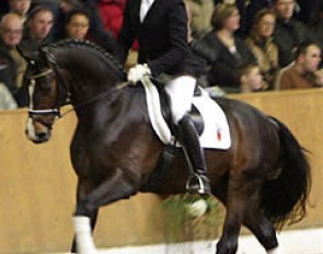 Johannes Westendarp on Rosentanz at the Vorwerk Stallion Show in Vechta 2004 :: Photo © Astrid Appels