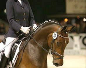 Riverdance in an under saddle presentation at the 2004 World Cup Finals in Dusseldorf