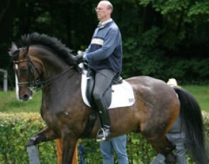 Klaus Husenbeth schooling Piccolino at the 2004 CDI Verden :: Photo © Astrid Appels