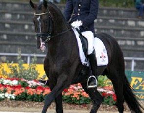 Hans Peter Minderhoud and Rhodium at the 2004 World Young Horse Championships :: Photo © Astrid Appels