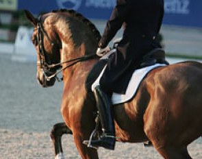 Steffen Peters and Lombardi II struck by sunset light.