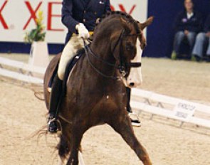 Jan Brink on Briar (Photo © Astrid Appels)
