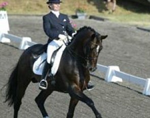 Mikaela Lindh on Milan DVH