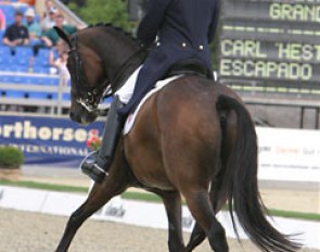 Carl Hester and Escapado