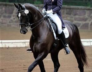Charlotte Bredahl and Eskada at the 2005 U.S. Dressage Championships in Gladstone :: Photo © Sue Stickle