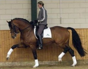 Edward Gal on Prestige VDL