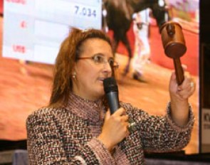The auction at the Danish warmblood licensing