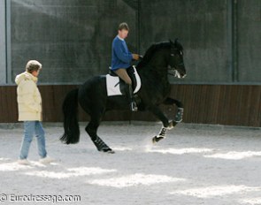 Kyra Kyrklund training Wayne Channon at his home base in Belgium :: Photo © Astrid Appels