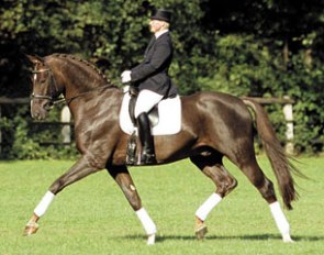 Royal Hit (by Royal Dance x Ramino x Welt As)