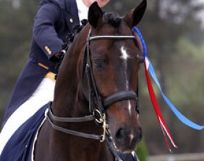 Emma Hindle and Diamond Hit :: Photo © Astrid Appels