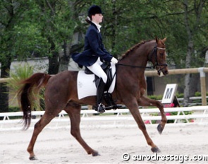 Eline Hubrecht on Van den Hout's Roccy (by Silvertop's Ricco) :: Photo © Astrid Appels