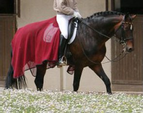 Kathleen Keller and Florestan at the 2005 CDIO Saumur :: Photo © Astrid Appels