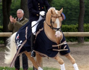 German Anne von Negri on the 7-year old NRW pony stallion Deinhard B :: Photo © Astrid Appels