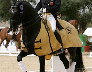 Wayne Channon and Lorenzo CH win big at the 2005 Sunshine Tour CDI :: Photo © Astrid Appels