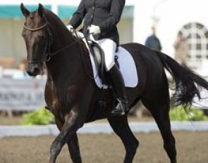 Sarah Pidgley on her Oldenburg bred Diva Supra