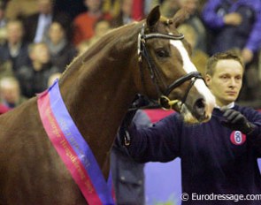 2005 Oldenburg Licensing Champion Kaiser Karl