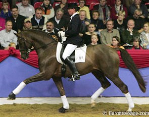 Kathrin Meyer zu Strohen on Belissimo M