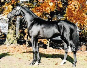 Prime Time (by Prince Thatch xx x Wenzel I) :: Photo © Hjordis Kamph