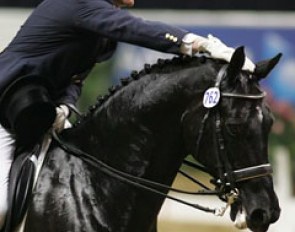 Hubertus Schmidt on Aramis :: Photo © Dirk Caremans