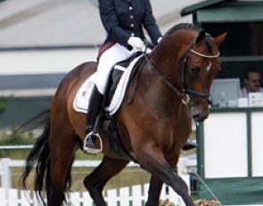 Susanne Hassler and Royal Prince at the 2005 World Young Horse Championships in Germany :: Photo © Astrid Appels